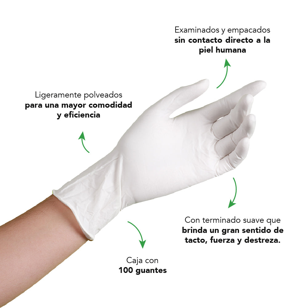 Guantes desechables de Latex Original - Cranberry